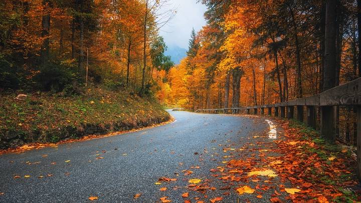 Road with fallen leaves in beautiful forest in golden autumn. Empty mountain road, trees with red and orange foliage in rain. Road with fallen leaves in beautiful forest in golden autumn. Empty mountain road, trees with red and orange foliage in rain.