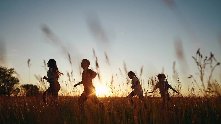 Children running in park at sunset, silhouettes visible against grain
