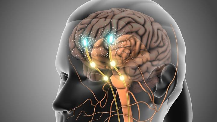 See through head with lights inside of brain See through head with lights inside of brain