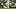 Real Madrid v Manchester City - UEFA Champions League