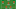 The Netherlands’ predicted starting XI for the World Cup. The Netherlands’ predicted starting XI for the World Cup.