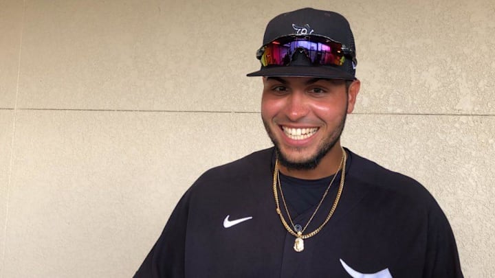Detroit Tigers outfielder Roberto Campos smiles after hitting a home run in a major-league spring