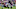 Nico Collins, Marcus Williams, Roquan Smith Nico Collins, Marcus Williams, Roquan Smith