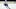 Quinn Hughes Quinn Hughes