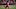 Jeremie Frimpong Jeremie Frimpong