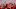 Trent Alexander-Arnold Trent Alexander-Arnold