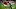 FBL-FRA-LIGUE1-BREST-PSG FBL-FRA-LIGUE1-BREST-PSG