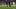 Gabriel Jesus, Phil Foden