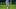 Dani Ceballos