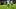 Alfredo Morelos Alfredo Morelos