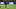 SOCCER: AUG 06 Leagues Cup Club America vs Portland Timbers