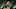 Boca Juniors v Huracan - Torneo Apertura 2026 Boca Juniors v Huracan - Torneo Apertura 2026