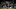 Trent Alexander-Arnold Trent Alexander-Arnold