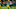 Christian Watson, Green Bay Packers Christian Watson, Green Bay Packers
