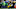 Davante Adams Davante Adams