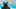 Brian Flores Brian Flores