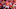 Patrick Mahomes - American Football Quarterback Patrick Mahomes - American Football Quarterback