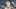 Blake Snell Blake Snell