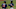 Dansby Swanson, Matt Adams