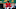 Shohei Ohtani