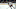 Ivan Miroshnichenko, Washington Capitals Ivan Miroshnichenko, Washington Capitals
