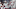 washington capitals washington capitals