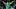 Jordan Morris Jordan Morris