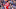 Andrew Robertson Andrew Robertson