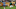 Palmeiras vs FC Porto - FIFA Club World Cup 2025 Palmeiras vs FC Porto - FIFA Club World Cup 2025