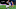 Youri Tielemans Youri Tielemans