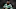 Kelechi Iheanacho Kelechi Iheanacho