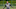Ange Postecoglou Ange Postecoglou