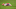 Gabriel Martinelli Gabriel Martinelli