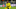 Borussia Dortmund v FC Barcelona - UEFA Champions League 2024/25 Quarter Final Second Leg Borussia Dortmund v FC Barcelona - UEFA Champions League 2024/25 Quarter Final Second Leg
