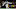 Arden Key, Titans Arden Key, Titans