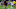 Haley McCutcheon, Scarlett Camberos Haley McCutcheon, Scarlett Camberos