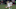 North Carolina Courage v Portland Thorns FC