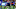 COLLEGE FOOTBALL: NOV 29 Florida State at Florida