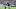 Zavier Scott