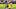 Mathew Leckie, Tyler Adams Mathew Leckie, Tyler Adams