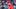 MLB: JUL 29 Phillies at Marlins