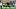 NFL: NOV 02 Colts at Steelers
