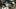 FBN-SANDERS-ANNOUNCEMENT FBN-SANDERS-ANNOUNCEMENT