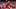 Patrick Mahomes Patrick Mahomes