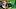 COLLEGE FOOTBALL: SEP 19 Michigan State at Notre Dame