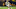 2024 NFL Draft: Rome Odunze 2024 NFL Draft: Rome Odunze