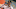 Baltimore Ravens top draft pick Malaki Starks Baltimore Ravens top draft pick Malaki Starks