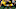 2026 NFL Draft prospect Rayshaun Benny 2026 NFL Draft prospect Rayshaun Benny