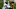Can Travis Hunter shine on defense for the Jacksonville Jaguars? Can Travis Hunter shine on defense for the Jacksonville Jaguars?