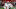 Xavier Worthy primed for a breakout season with Chiefs in Year 2